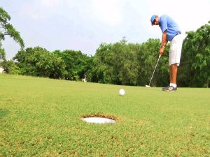 Golfer putting Golf Ball In The Green Golf.