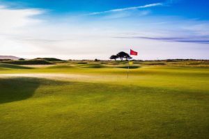 Image Showing Beachside Golf Ground with flags.